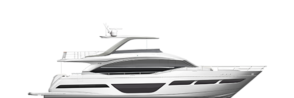 A side view image of the Y78