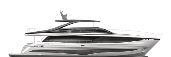 A side view image of the Y95