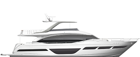 A side view image of the Y78