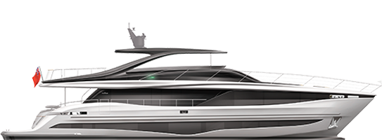 A side view image of the Y95