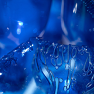 Plastic Bottle small