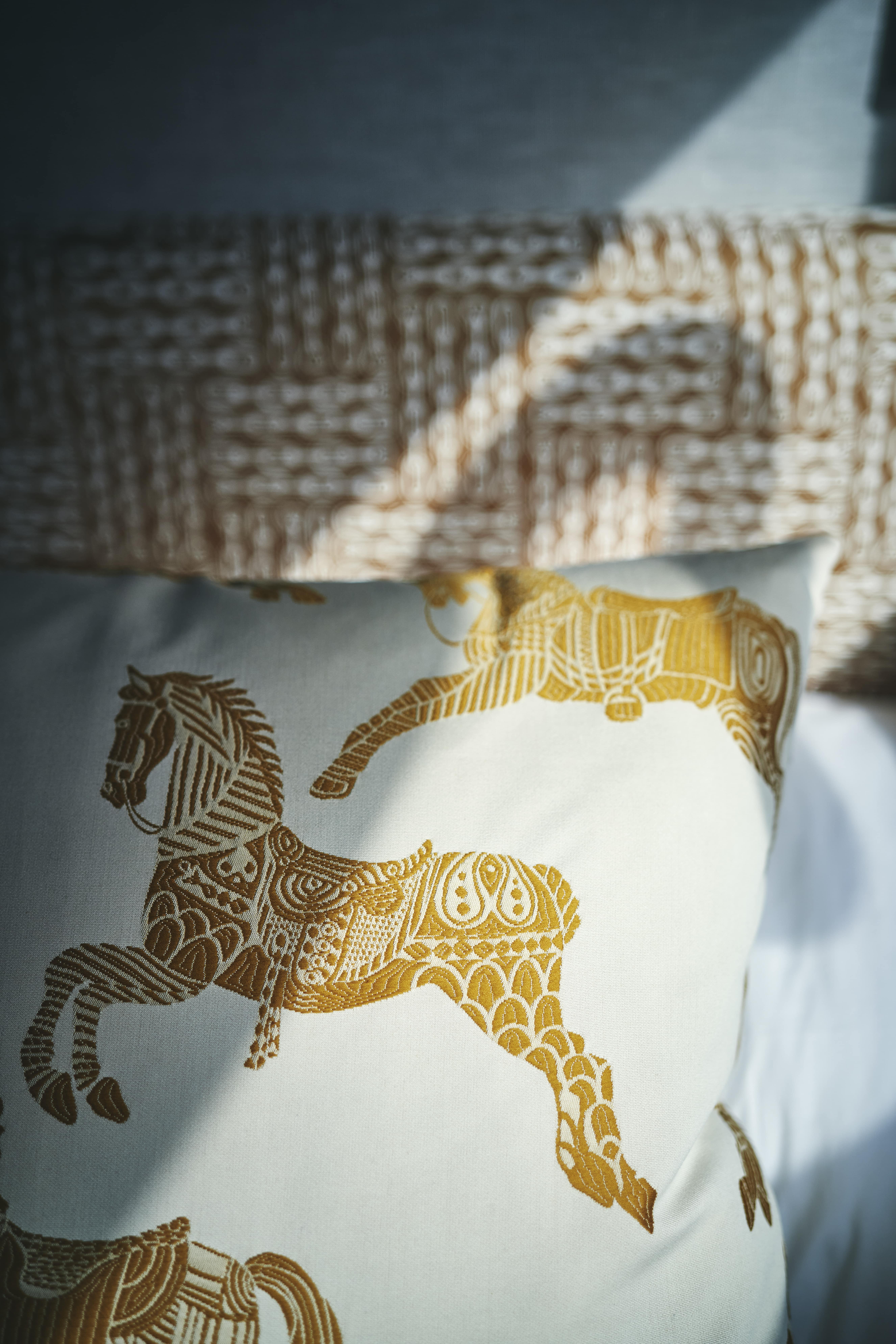 Hermes cushion