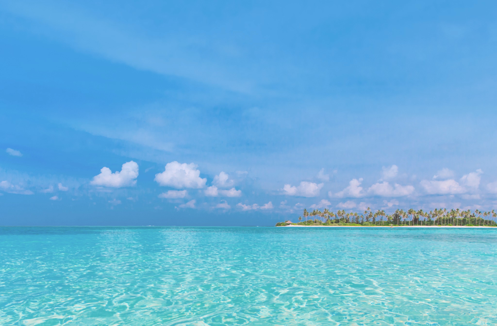 Smell the sea and feel the sky in our Y Class