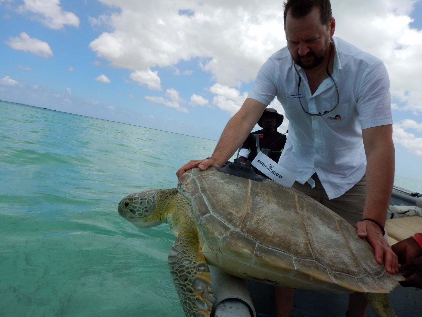 Princess Yachts' volunteer releasing giant turtle back into the ocean